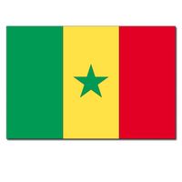 Gevelvlag/vlaggenmast vlag Senegal 90 x 150 cm   -