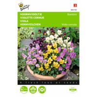 2 stuks Viola cornuta Bambini Gemengd - thumbnail