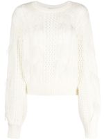 TWINSET pull en maille torsadée à plumes - Blanc