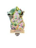 Bergenia cordifolia - schoenlappersplant Bergenia cordifolia - schoenlappersplant