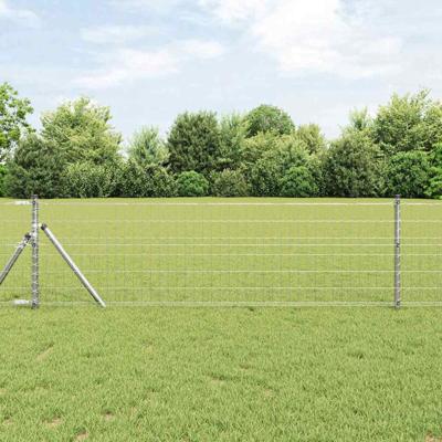 Euro Hek Zilver 0.6 x 25 m Warmverzinkt ijzer