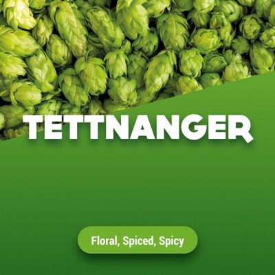 Hopbellen Tettnanger 2024 5 kg