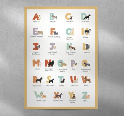 Alfabet poster met hondenrassen