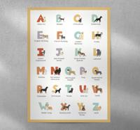 Alfabet poster met hondenrassen