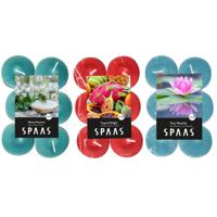 Candles by Spaas geurkaarsen - 36x stuks in 3 geuren - Maxi theelichtjes van 4.5 branduren