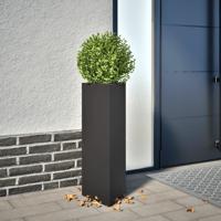 Plantenbak driehoek 30x26x75 cm staal zwart