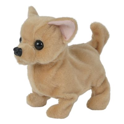 Simba Chi chi love baby puppy hond