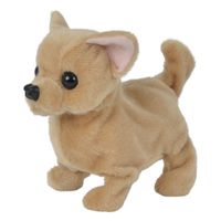 Simba Chi chi love baby puppy hond