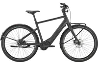 Pegasus Versario Evo Elektrische Herenfiets 28 inch 45cm Belt 5v