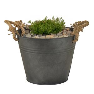 Plantenpot/bloempot Old Rope - rond - zink - antraciet - D40 X H29 cm