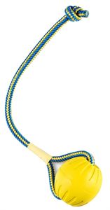 Starmark swing &apos;n fling durafoam fetch bal aan koord