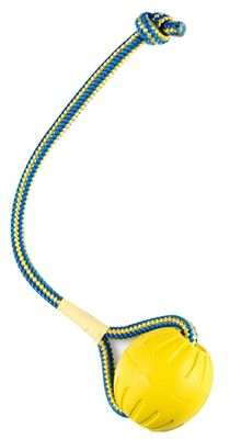 Starmark swing &apos;n fling durafoam fetch bal aan koord