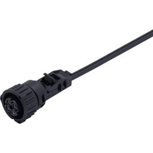 ifm Electronic E11273 Aansluitkabel Aantal polen (sensoren): 4 Bus, recht 2 m 1 stuk(s)