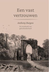 Een vast vertrouwen - Anthony Burgess - ebook