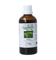 Solidago virg herb / guldenroede tinctuur