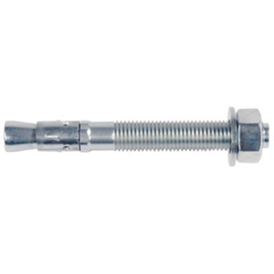 Fischer 45266 FBN II 12/100 Boutanker 196 mm 12 mm 20 stuk(s)