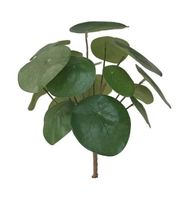 Kunstplant Pilea bush 25cm - thumbnail