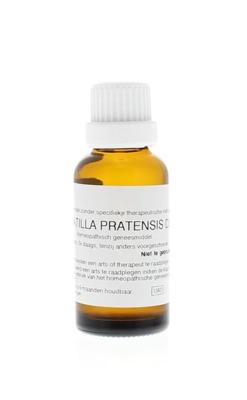 Pulsatilla pratensis D30 30 Milliliter Pulsatilla pratensis D30 30 Milliliter