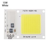Hoge Power 220V LED FloodlightCool/Warm wit COB LED Chip IP65 Smart IC Driver Lamp(15W white)