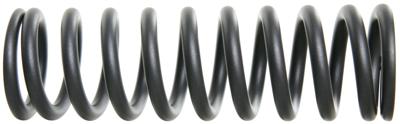 ROCKSHOX spring 200lb 240x76 gr