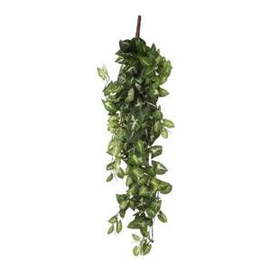 Mica Decorations Fittonia Kunst Hangplant in Pot - H80 cm - Groen