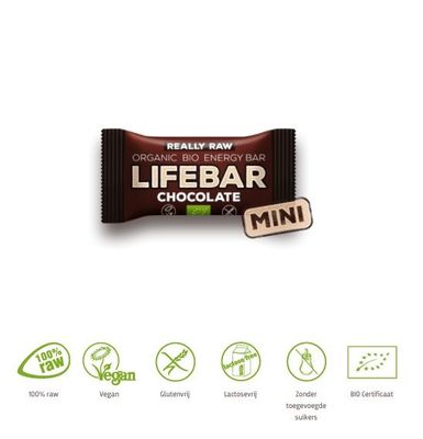 Lifefood Mini lifebar energiereep chocolade raw & bio (25 gr)