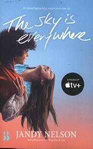 The sky is everywhere (Paperback)