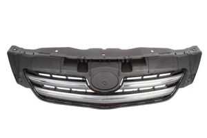 Radiateurgrille 6502078116995P