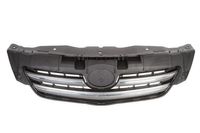 Radiateurgrille 6502078116995P