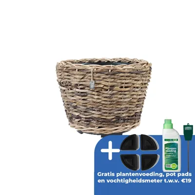 Drypot abaca d35h30cm Drypot abaca d35h30cm