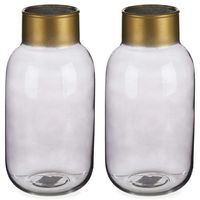 Bloemenvazen 2x stuks - luxe decoratie glas - grijs/goud - 14 x 30 cm