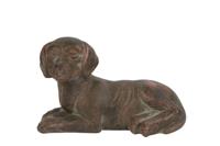 Hond liggend Lina S bruin Countryfield - Countryfield