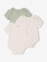 Set van 3 body's met korte mouwen in pointelle saliegroen