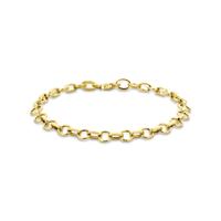 14k Geelgouden Schakelarmband 6 mm - 19 cm met Karabijnsluiting
