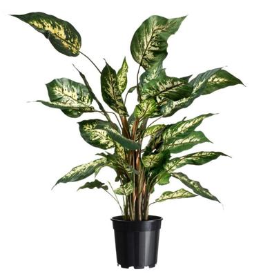 Container zwart 2,2l H15,4x dia. 17cm set a 4 stuks - Nature