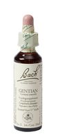 Bach Flower Remedies Gentiaan 12