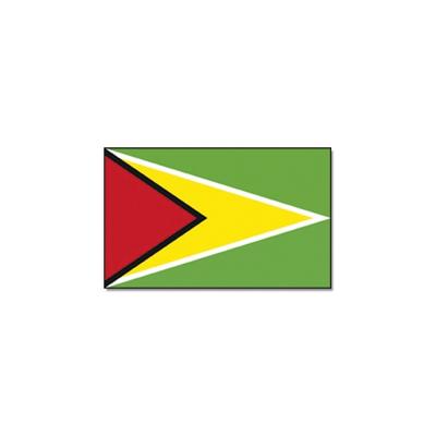 Vlag van Guyana - 90 x 150 cm - Guyana landen thema - supporters / fans - versiering