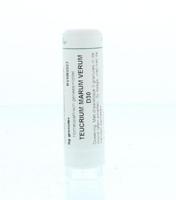 Homeoden Heel Teucrium marum verum D30 6 Gram