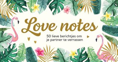 Love notes (Paperback)