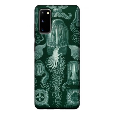 Haeckel Cubomedusae: Samsung Galaxy S20 Tough Case
