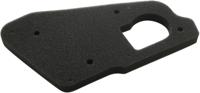 MIW Air filter p5100