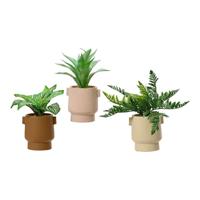 Decoratieve plant EDM 808559 25 cm Bloempot