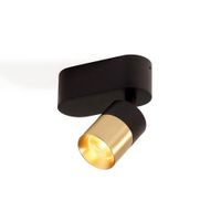 Trizo21 Audette-Duo up Rounded Plafondlamp - 2700K - 23Â° - Zwarte base & frame - Messing ring - Zonder Honeycomb