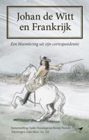 Johan de Witt en Frankrijk (Hardback)