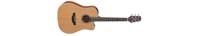 Takamine GD20CE-NS elektr.akoest. westerngitaar ceder top natural satin - thumbnail