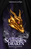 De stad met schimmendraken (Paperback)