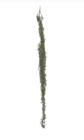 110 cm airplant vine kunstbloem zijde nepbloem - Driesprong collection
