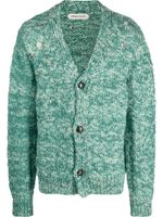 Namacheko cardigan en laine mérinos à col v - Vert - thumbnail