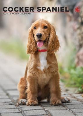 Engelse Cocker Spaniel A3 Kalender 2026
