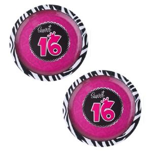 16x stuks Sweet 16 feest thema party kartonnen gebak/taart bordjes 23 cm